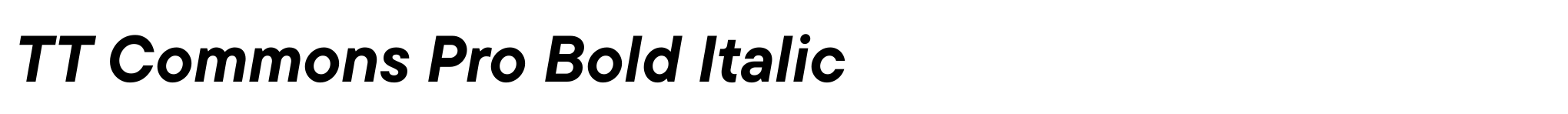 TT Commons Pro Bold Italic image